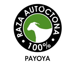 Raza autóctona Payoya 100%